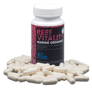 Fauna Marin Reef Vitality Marine Organics