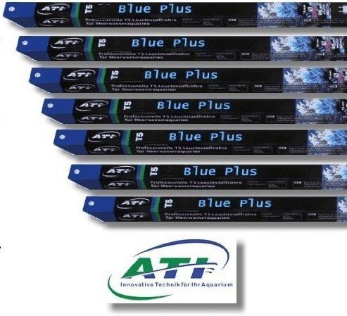 ATI Blue Plus T5 buis