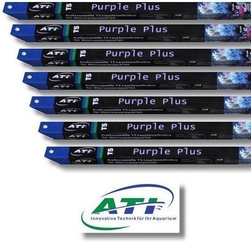 ATI Purple Plus T5 buis